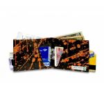 Mighty Wallet Yo! MTV Raps